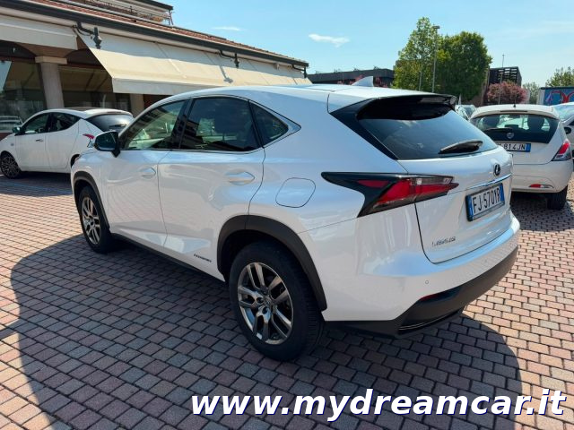 Lexus NX 300 Hybrid 4WD Executive TETTO PANORAMICO - foto 4 di 4