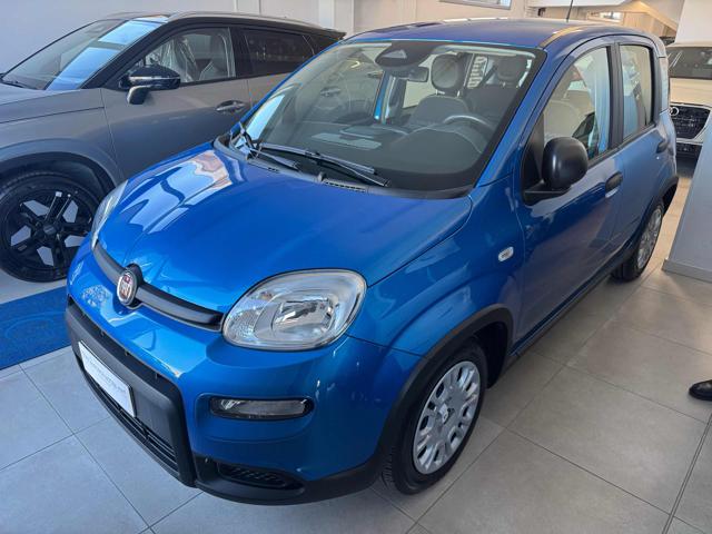 Fiat Panda 1.0 FireFly S&S Hybrid, del 2024, 4.465 km, in vendita a Spoltore (PE)