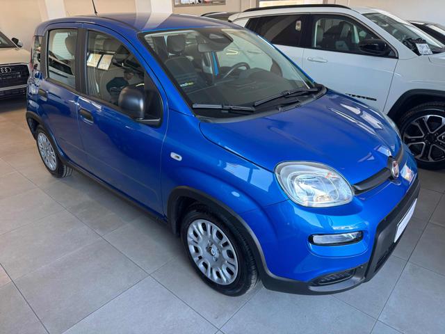 Fiat Panda 1.0 FireFly S&S Hybrid - foto 2 di 4