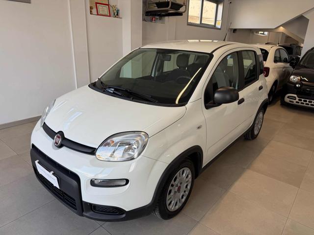 Fiat Panda 1.0 FireFly S&S Hybrid, del 2024, 10.540 km, in vendita a Spoltore (PE)