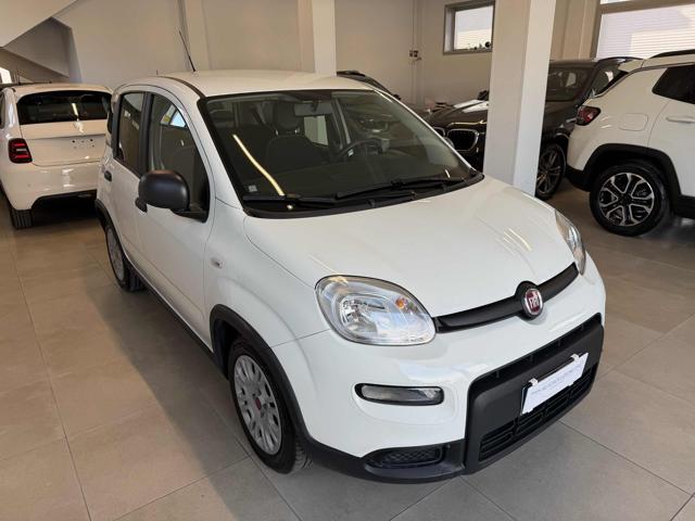 Fiat Panda 1.0 FireFly S&S Hybrid - foto 2 di 4