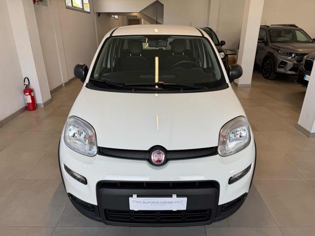 Fiat Panda 1.0 FireFly S&S Hybrid - foto 3 di 4