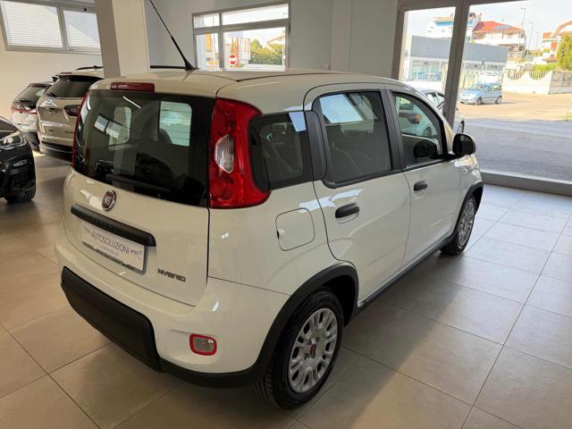 Fiat Panda 1.0 FireFly S&S Hybrid - foto 4 di 4