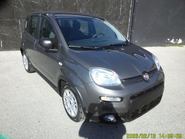 Fiat Panda 1.0 FireFly S&S Hybrid - foto 3 di 4