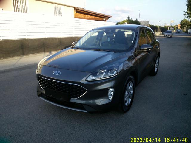 Ford Kuga 1.5 EcoBlue 120 CV aut. 2WD Titanium Business - foto 3 di 16