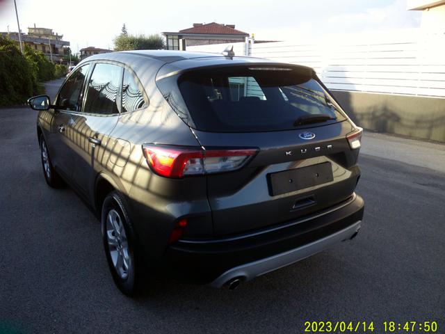 Ford Kuga 1.5 EcoBlue 120 CV aut. 2WD Titanium Business - foto 4 di 16