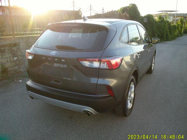Ford Kuga 1.5 EcoBlue 120 CV aut. 2WD Titanium Business - foto 3 di 4