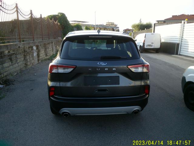 Ford Kuga 1.5 EcoBlue 120 CV aut. 2WD Titanium Business - foto 2 di 4