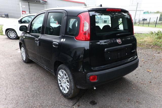Fiat Pandina 1.0 FireFly 65 CV Hybrid Icon 5 posti - foto 3 di 4