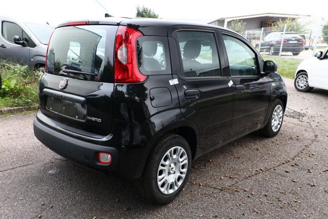 Fiat Pandina 1.0 FireFly 65 CV Hybrid Icon 5 posti - foto 2 di 4