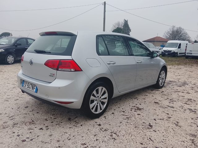 Volkswagen Golf Business 1.6 TDI 5p. Highline BlueMotion Technolog - foto 4 di 4