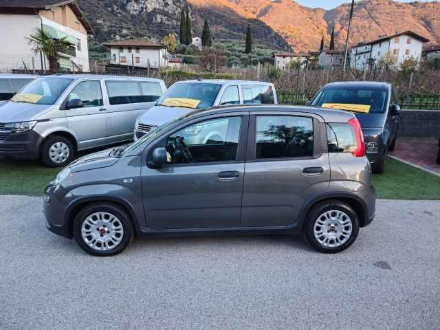 Fiat Panda 1.0 FireFly S&S Hybrid OK NEOPATENTATI- - - foto 2 di 4