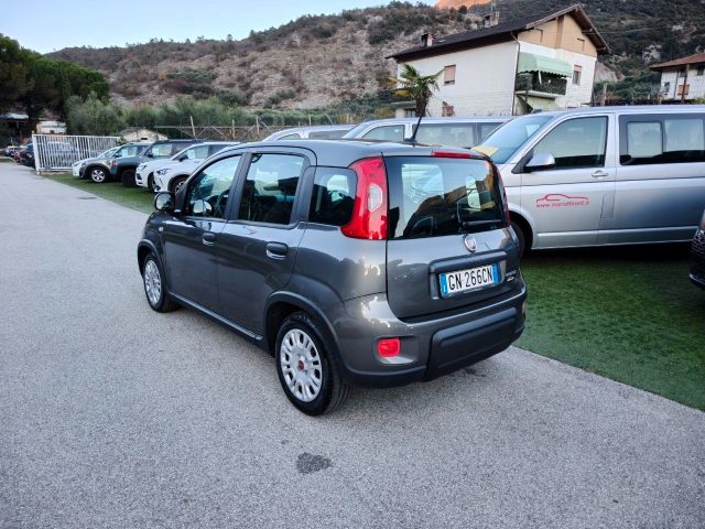 Fiat Panda 1.0 FireFly S&S Hybrid OK NEOPATENTATI- - - foto 3 di 4