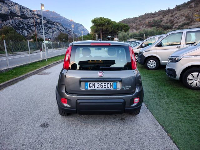 Fiat Panda 1.0 FireFly S&S Hybrid OK NEOPATENTATI- - - foto 4 di 4