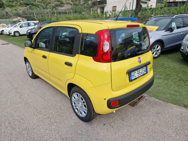 Fiat Pandina 1.0 FireFly 65 CV Hybrid Pop - foto 3 di 4