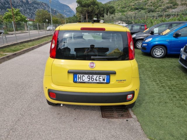Fiat Pandina 1.0 FireFly 65 CV Hybrid Pop - foto 4 di 4