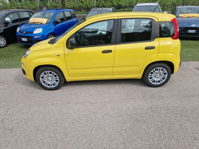 Fiat Pandina 1.0 FireFly 65 CV Hybrid Pop - foto 2 di 4