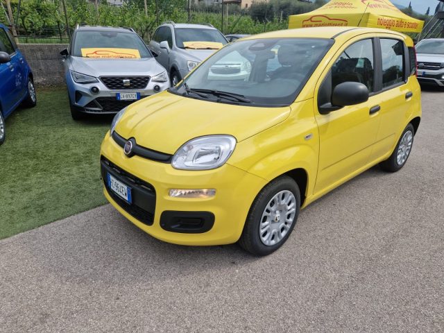 Fiat Pandina 1.0 FireFly 65 CV Hybrid Pop usato a ARCO
