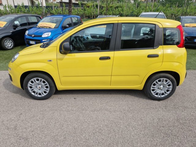 Fiat Pandina 1.0 FireFly 65 CV Hybrid Pop - foto 2 di 4