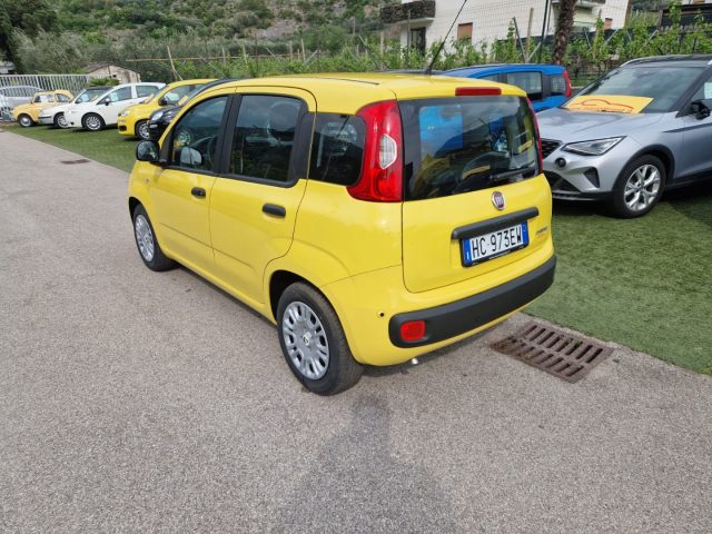 Fiat Pandina 1.0 FireFly 65 CV Hybrid Pop - foto 3 di 4