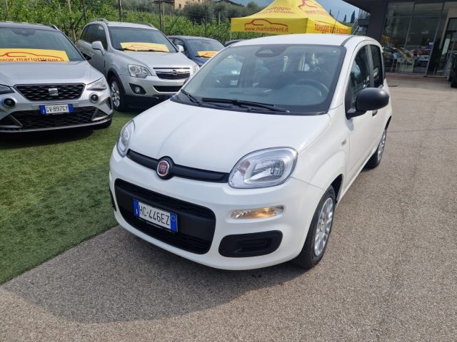 Fiat Pandina 1.0 FireFly 65 CV Hybrid Pop usato a ARCO