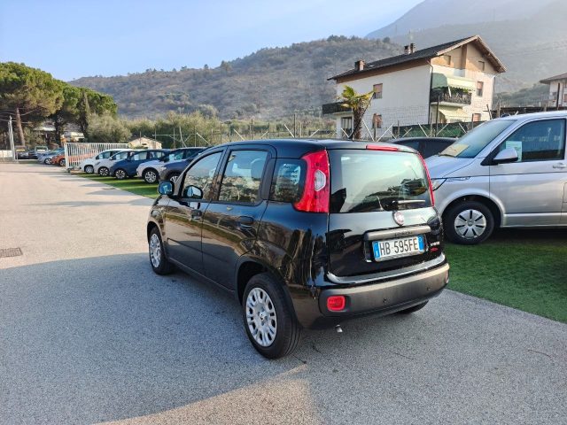 Fiat Panda 1.0 FireFly S&S Hybrid Pop - foto 3 di 4