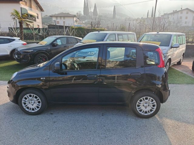 Fiat Panda 1.0 FireFly S&S Hybrid Pop - foto 2 di 4