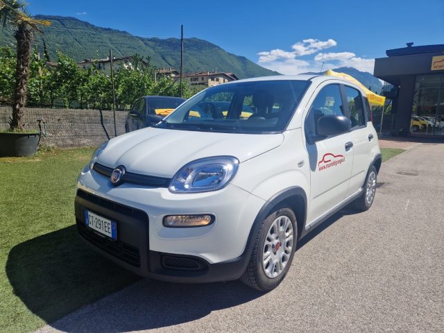 Fiat Panda 1.0 FireFly S&S Hybrid usato a ARCO