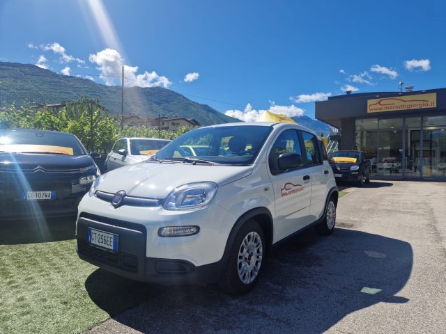 Fiat Panda 1.0 FireFly S&S Hybrid usato a ARCO