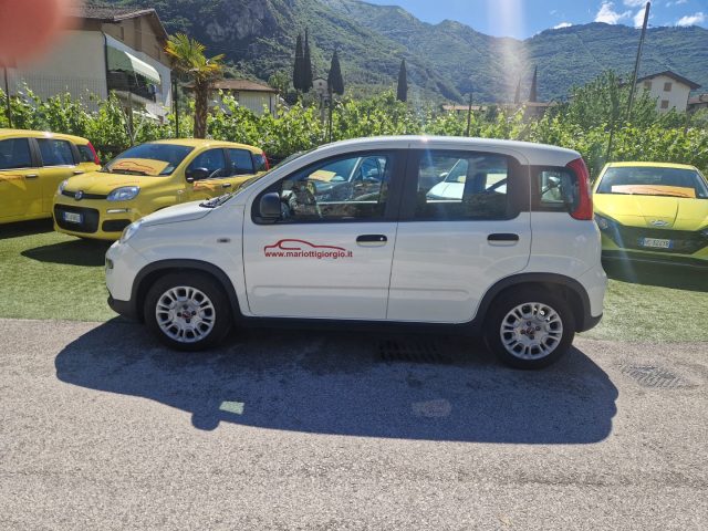Fiat Panda 1.0 FireFly S&S Hybrid - foto 2 di 4