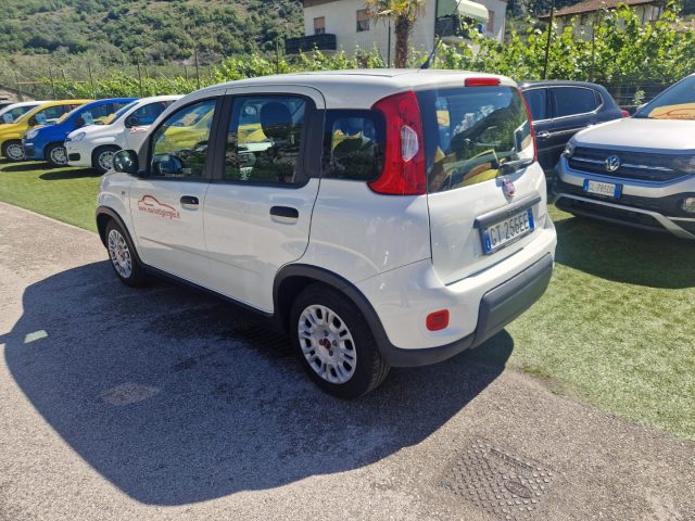 Fiat Panda 1.0 FireFly S&S Hybrid - foto 3 di 4
