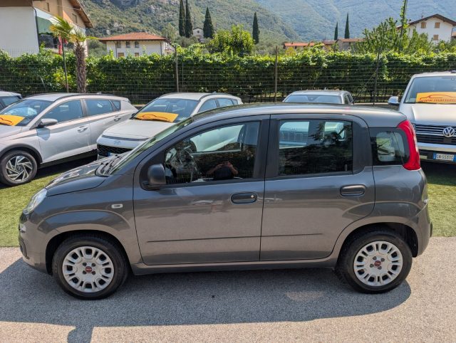 Fiat Panda 1.2 Easy - foto 2 di 4