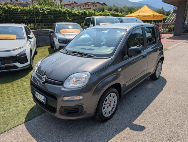 Fiat Panda 1.2 Easy usato a ARCO