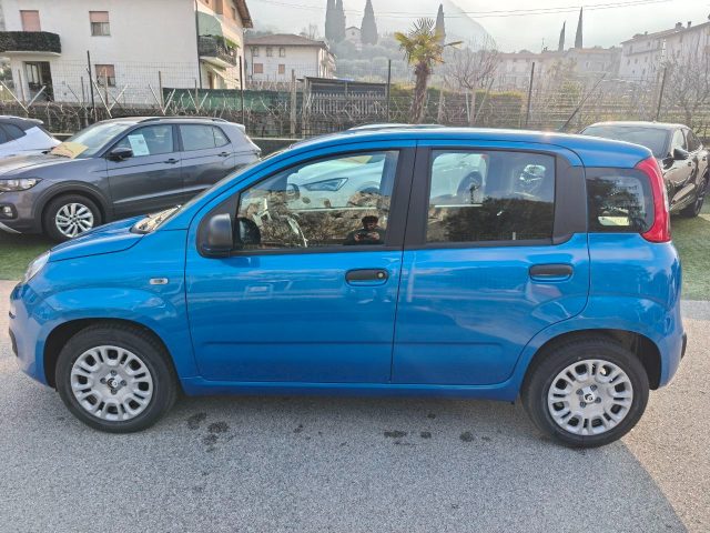 Fiat Panda 1.0 FireFly S&S Hybrid Pop - foto 2 di 4