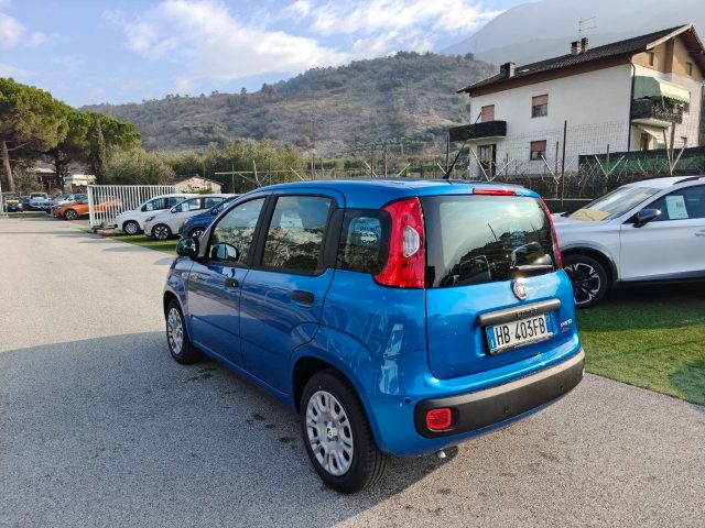 Fiat Panda 1.0 FireFly S&S Hybrid Pop - foto 3 di 4
