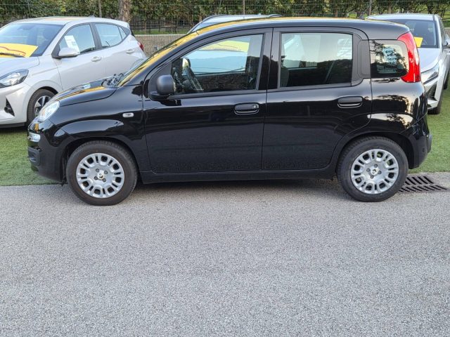 Fiat Panda 1.0 FireFly S&S Hybrid Pop - foto 2 di 4
