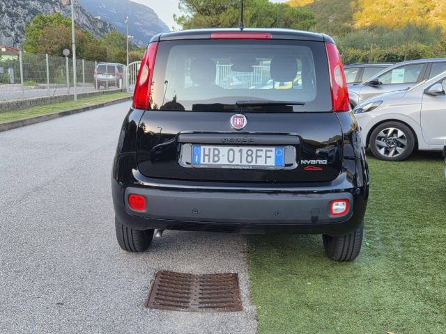 Fiat Panda 1.0 FireFly S&S Hybrid Pop - foto 4 di 4