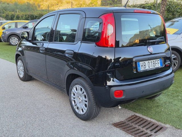 Fiat Panda 1.0 FireFly S&S Hybrid Pop - foto 3 di 4