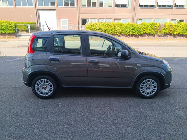 Fiat Panda 1.0 FireFly S&S Hybrid - foto 3 di 4