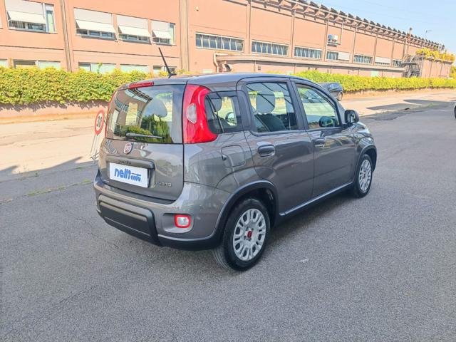 Fiat Panda 1.0 FireFly S&S Hybrid - foto 4 di 4