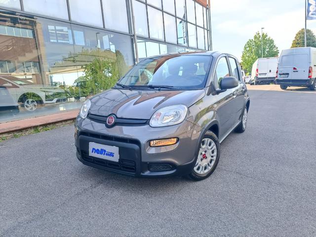 Fiat Panda 1.0 FireFly S&S Hybrid usato a CASTELFRANCO DI SOTTO