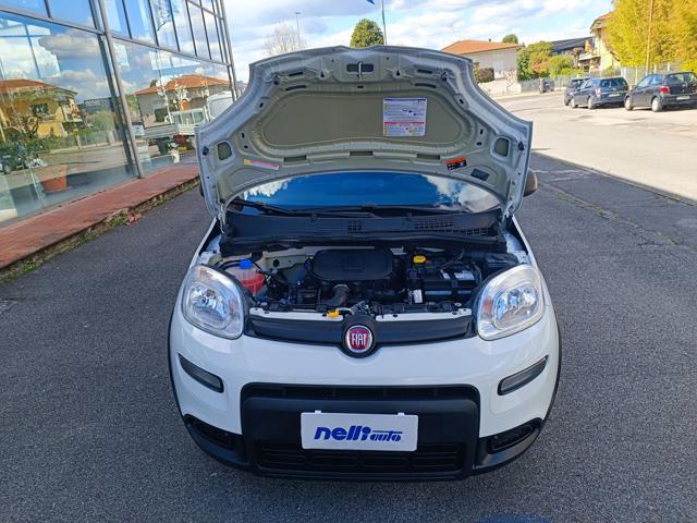 Fiat Panda 1.0 S&S Hybrid Van 2 posti - foto 3 di 4