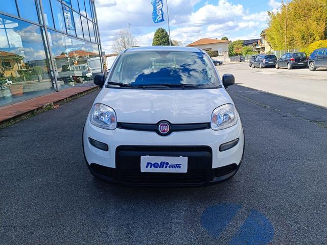 Fiat Panda 1.0 S&S Hybrid Van 2 posti - foto 4 di 4