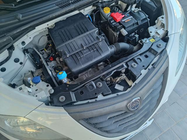 Lancia Ypsilon 1.2 69 CV 5 porte Elefantino - foto 2 di 4