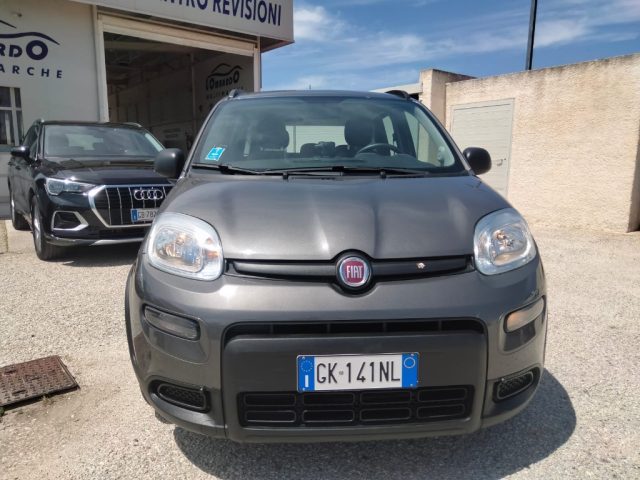 Fiat Panda 1.0 FireFly S&S Hybrid usato a PETROSINO