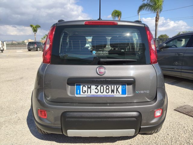 Fiat Panda 1.0 FireFly S&S Hybrid City Life - foto 4 di 4