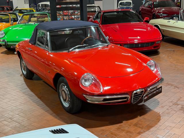 Alfa Romeo Spider Osso di Seppia 1750 Veloce usato a ROMA