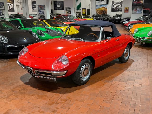 Alfa Romeo Spider Osso di Seppia 1750 Veloce - foto 3 di 4