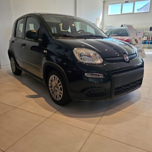 Fiat Panda 1.0 FireFly S&S Hybrid Pandina - foto 3 di 4