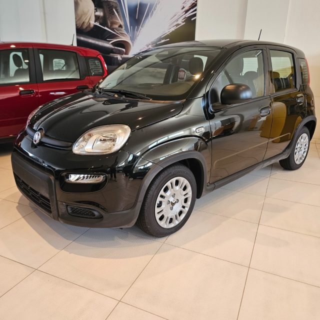 Fiat Panda 1.0 FireFly S&S Hybrid Pandina usato a MONDOLFO